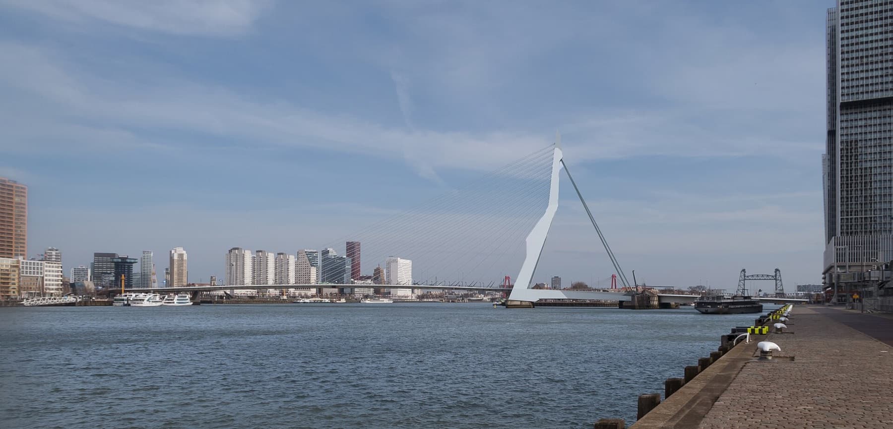 Erasmus Bridge and Rotterdam skyline, seen from Hotel New York